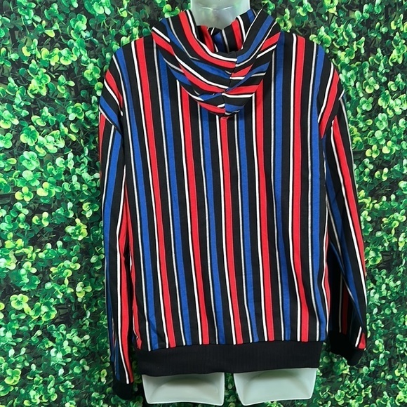 Urban Outfitters Small Vertical Striped Hoodie sweatshirt Red Blue Y2K 90s vibes - Picture 2 of 12